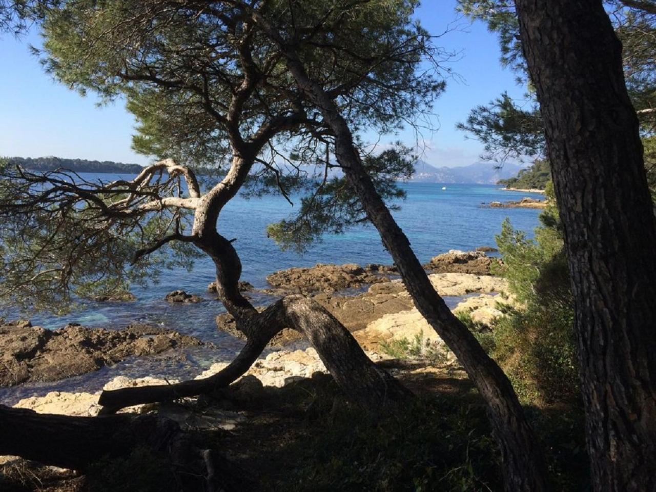 Cannes Design Vue Mer ภายนอก รูปภาพ